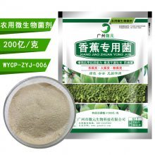 香蕉有機肥生物功能菌 抗重茬、解磷解鉀、促生長的微生物菌劑全解析