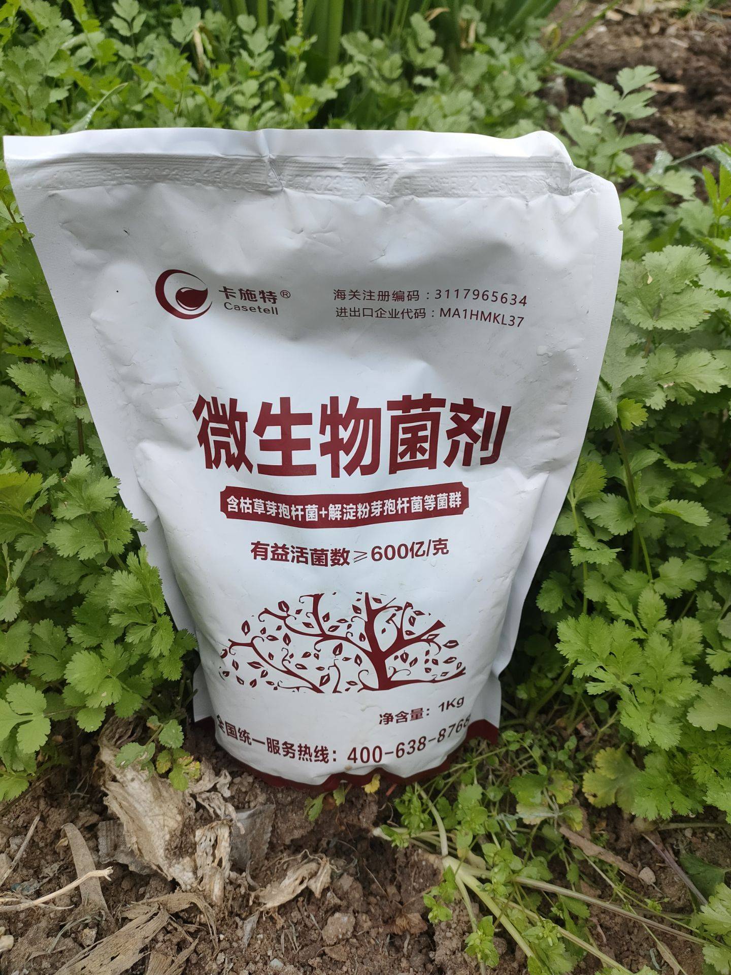 進口微生物菌劑如何選？卡施特效果實測與選購指南
