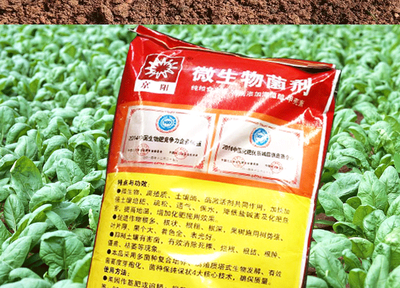 京陽微生物菌劑農(nóng)家肥料的腐熟